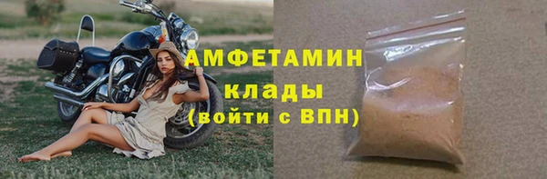 ГАЛЛЮЦИНОГЕННЫЕ ГРИБЫ Аркадак
