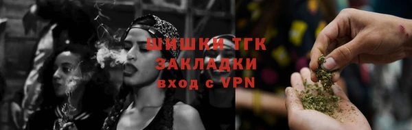 ГАЛЛЮЦИНОГЕННЫЕ ГРИБЫ Аркадак
